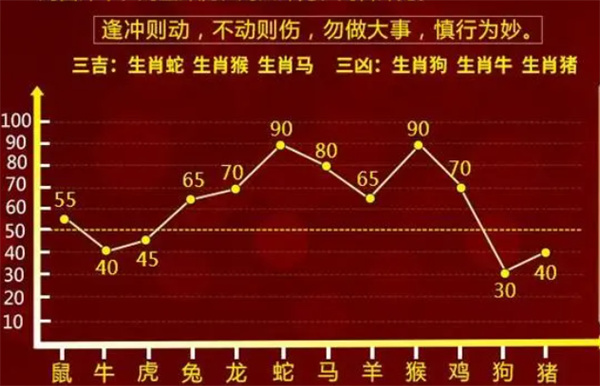 揭秘一肖一码，全面释义与精准解释落实