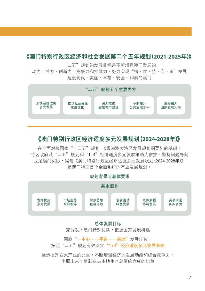 探索未来，解析澳门新资料与落实策略，展望2025新澳门全年精彩展望