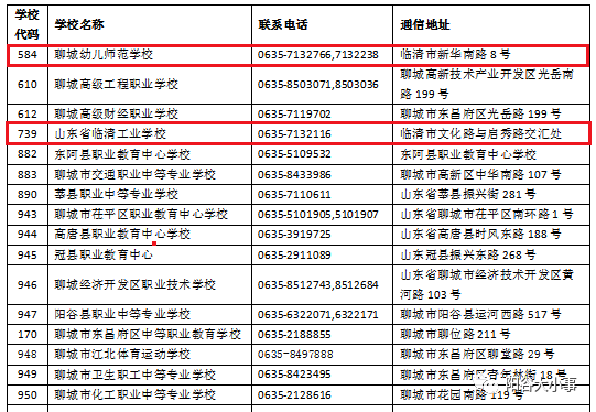 迈向2025，正版资料免费公开的全面释义与落实策略